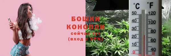 бошки Арсеньев