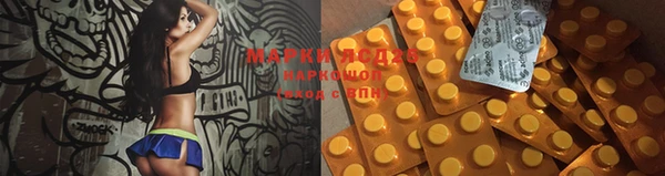 дурь Аркадак