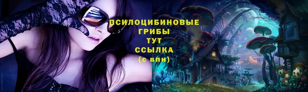 бошки Арсеньев