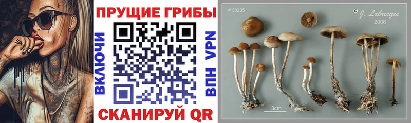 Псилоцибиновые грибы мухоморы  Кубинка 